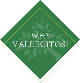 why-vallecitos-portal