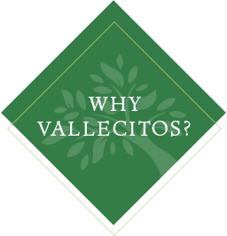 Why Vallecitos