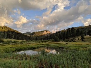 Support Vallecitos Mountain Retreat Center