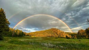 Support Vallecitos Mountain Retreat Center